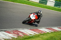 cadwell-no-limits-trackday;cadwell-park;cadwell-park-photographs;cadwell-trackday-photographs;enduro-digital-images;event-digital-images;eventdigitalimages;no-limits-trackdays;peter-wileman-photography;racing-digital-images;trackday-digital-images;trackday-photos